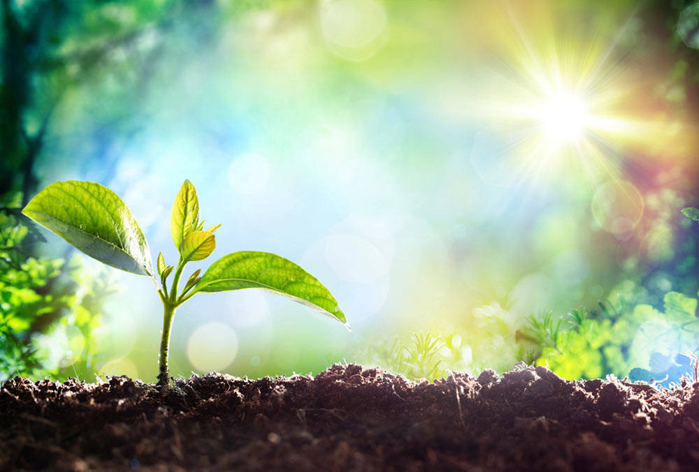 Coachpraktijk-Uden-voor-jongeren-vanaf-16-jaar